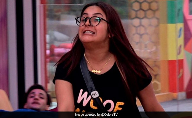 <i>Bigg Boss 13</i> Written Update December 6, 2019: Shehnaaz Gill Accuses Shefali Zariwala Of Slapping Her During The Task