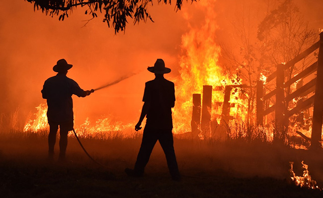 "Can't See Anything": Toxic Bushfire Haze Blankets Eastern Australia