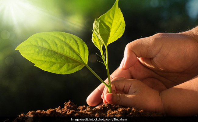 World Soil Day 2019: Facts On Soil Erosion And How We Can Stop It