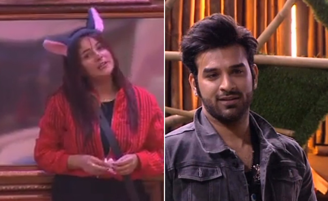 शहनाज गिल और पारस छाबड़ा के बीच आई दरार, तो पंजाब की कैटरीना कैफ बोलीं- अब फैसला होगा...