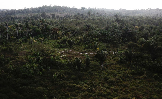 China, Brazil Launch Satellite To Monitor Amazon Rainforest From Space