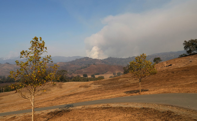 Bankrupt Firm Reaches $13.5 Billion Settlement With California Wildfire Victims