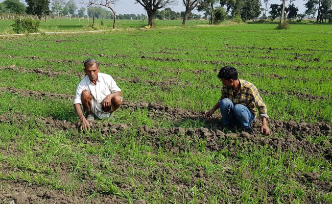 Over 5 Crore Farmers Yet To Get Full Amount Under PM-Kisan Scheme: Report