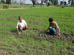 जल्दी खराब होने वाली बागवानी उपज पर किसानों को मदद देने की योजना जल्दी खराब होने वाली बागवानी उपज पर किसानों को मदद देने की योजना