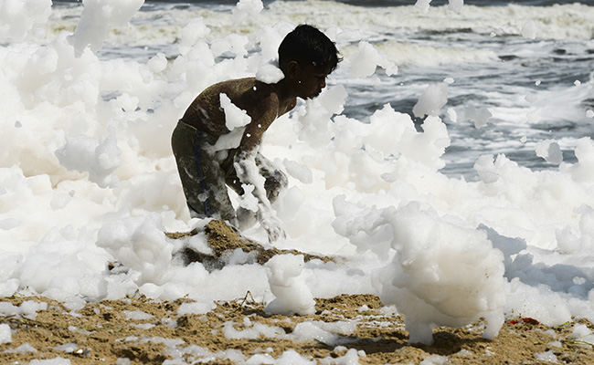 Toxic Foam Blankets Chennai's Marina Beach, Causes Pollution Hazard