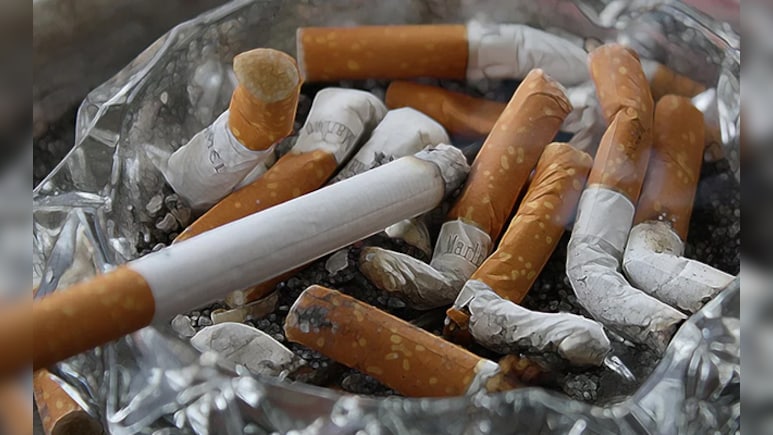 हर कश में छुपा है जहर...तंबाकू धीरे-धीरे खत्म कर देता है शरीर के 12 जरूरी अंग, अब भी नहीं संभले तो हो जाएगी देर