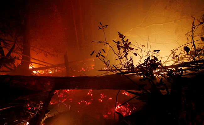 Indonesian Fires Destroyed 1.6 Million Hectares Of Land This Year: Study