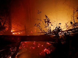 Indonesian Fires Destroyed 1.6 Million Hectares Of Land This Year: Study Indonesian Fires Destroyed 1.6 Million Hectares Of Land This Year: Study
