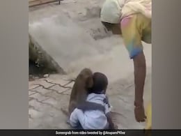 बंदर को इस बच्चे पर आया इतना प्यार, मां खींचती रही लेकिन जाने नहीं दिया, बॉलीवुड एक्टर ने शेयर किया Video बंदर को इस बच्चे पर आया इतना प्यार, मां खींचती रही लेकिन जाने नहीं दिया, बॉलीवुड एक्टर ने शेयर किया Video
