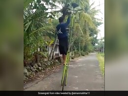 बेहद ऊंची साइकिल चलाता हुआ दिखा शख्स, फिर से Viral हुआ ये पुराना वीडियो बेहद ऊंची साइकिल चलाता हुआ दिखा शख्स, फिर से Viral हुआ ये पुराना वीडियो