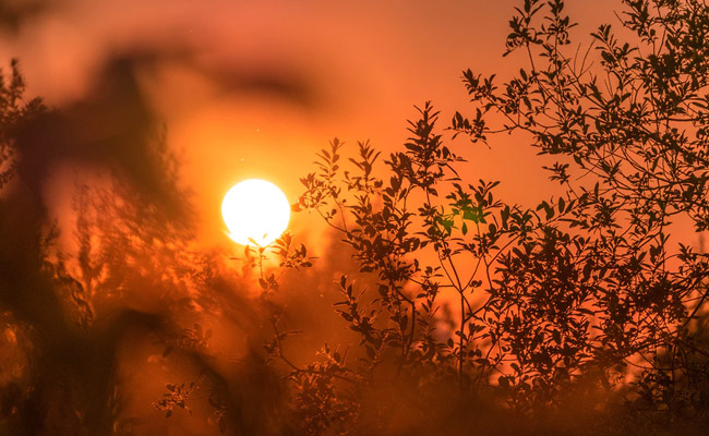 'Extreme Heat Belt' Will Impact Over 100 Million Americans By 2053: Report