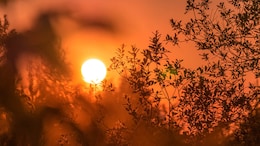 "Consequences Of...": Germany Says 2024 Has Been Its Hottest Year On Record