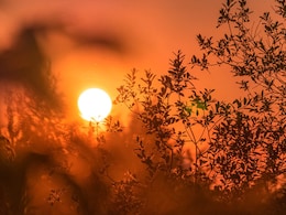 "Consequences Of...": Germany Says 2024 Has Been Its Hottest Year On Record "Consequences Of...": Germany Says 2024 Has Been Its Hottest Year On Record
