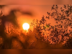 January 2025 Warmest On Record Globally: European Climate Agency