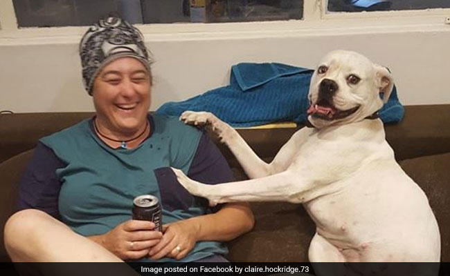 Body Believed To Be Of Missing Hiker In Australia Found Nearly After 2 Weeks