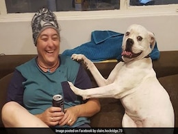 Body Believed To Be Of Missing Hiker In Australia Found Nearly After 2 Weeks Body Believed To Be Of Missing Hiker In Australia Found Nearly After 2 Weeks