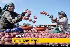 नहीं थम रहा प्याज की बढ़ती कीमत का ग्राफ नहीं थम रहा प्याज की बढ़ती कीमत का ग्राफ