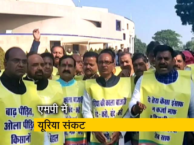 मध्य प्रदेश में यूरिया के लिए किसान परेशान, शिवराज सिंह की अगुवाई में हुआ प्रदर्शन