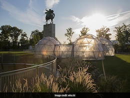 Pollution Pods At UN Climate Summit Help People Experience Delhi's Smog Pollution Pods At UN Climate Summit Help People Experience Delhi's Smog