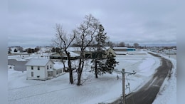 Millions In US Brace For Potentially Catastrophic Ice Storm: What To Know By Numbers