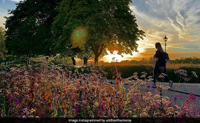 उद्धव ठाकरे ने अपने iPhone से क्लिक की इतनी खूबसूरत फोटो, लोग बोले- 'हमारे मुख्यमंत्री...'