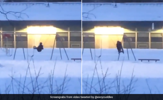 "Is He Facing The Camera Or Building?": Viral Video Confuses Millions