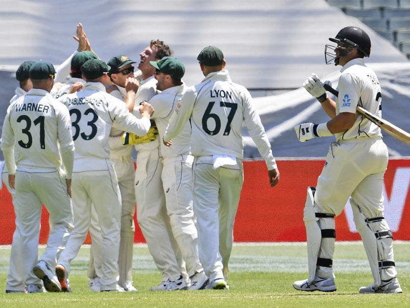 Tom Blundells Century In Vain As Australia Thrash New Zealand To Win 2nd Test, Clinch Series Tom Blundells Century In Vain As Australia Thrash New Zealand To Win 2nd Test, Clinch Series