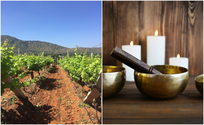 Finding Unique Experiences In Bangalore: Vineyard Tour, Sound Healing And More