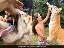 मुंह के अंदर हाथ डालकर शख्स ने ऐसे पिलाया बाघ को दूध, देखें जानवरों के टिकटॉक टॉप-10 Videos मुंह के अंदर हाथ डालकर शख्स ने ऐसे पिलाया बाघ को दूध, देखें जानवरों के टिकटॉक टॉप-10 Videos