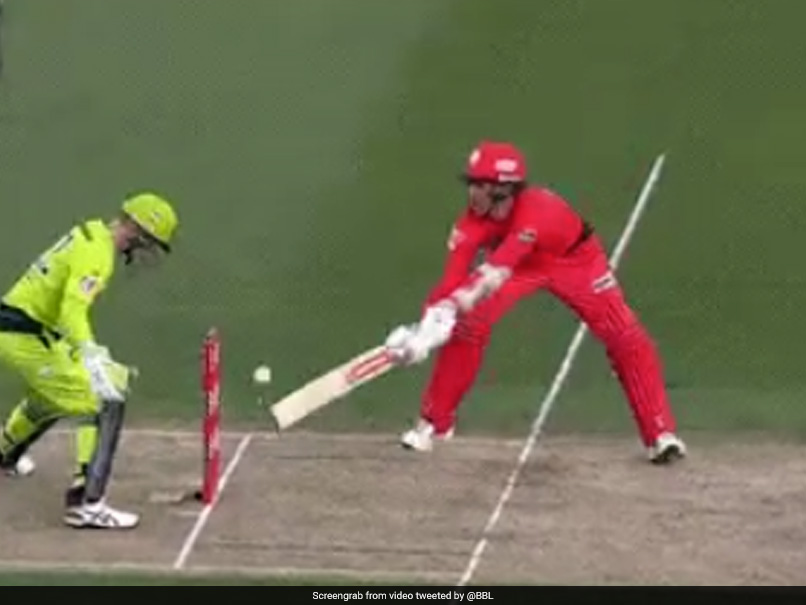 Big Bash League: Melbourne Renegades Batsman Tom Cooper Saves Wicket With Brilliant Game Awareness. Watch