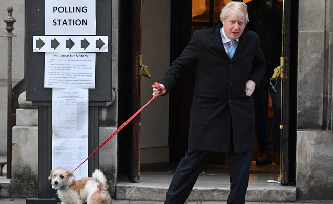 Boris Johnson's Dog, Thousands Of Pets Lined Up Outside UK Polling Booths