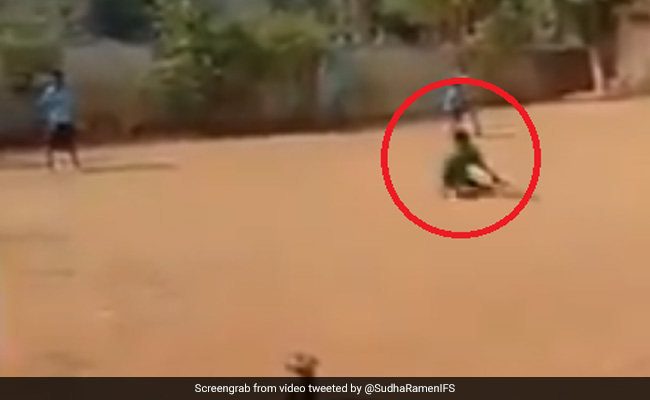 बच्चे के क्रिकेट स्टाइल के 'फैन' हुए सचिन तेंदुलकर, Video ट्वीट कर बोले- '2020 की शुरुआत...'