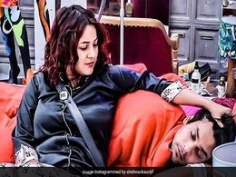 Bigg Boss 13: कश्मीरा शाह ने शहनाज को बताया फेक, तो भाई शहबाज गिल ने दिया करारा जवाब.. Bigg Boss 13: कश्मीरा शाह ने शहनाज को बताया फेक, तो भाई शहबाज गिल ने दिया करारा जवाब..