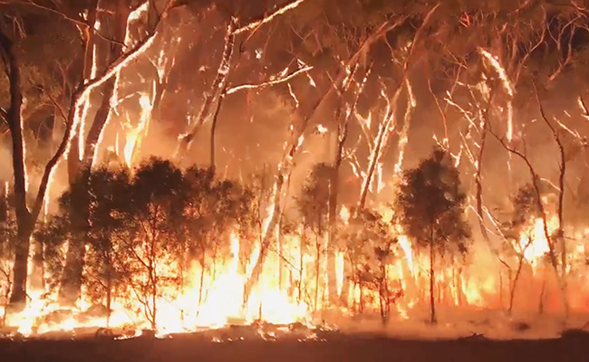 2 Australian Firefighters Dead In Crash In Sydney; PM Cuts Short Holiday