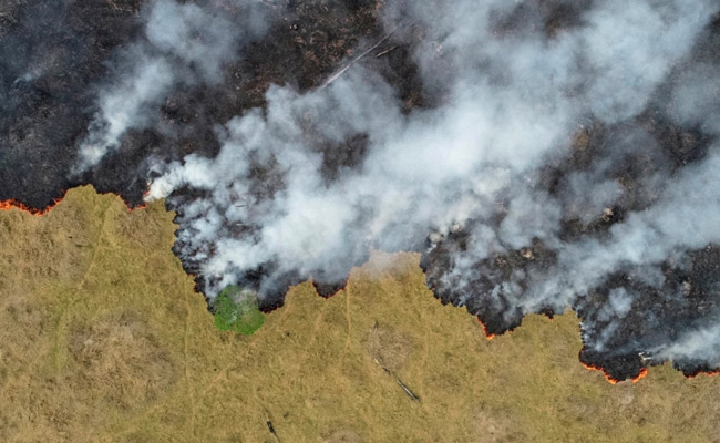 Amazon Deforestation Jumps 100% In November Over Same Month Last Year