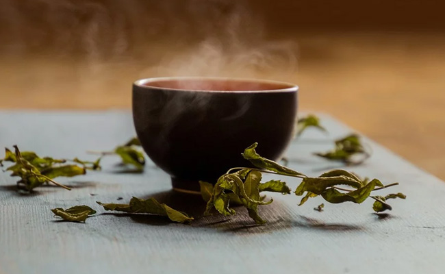 7 Ayurvedic Products To Boost Your Immunity This Winter Season