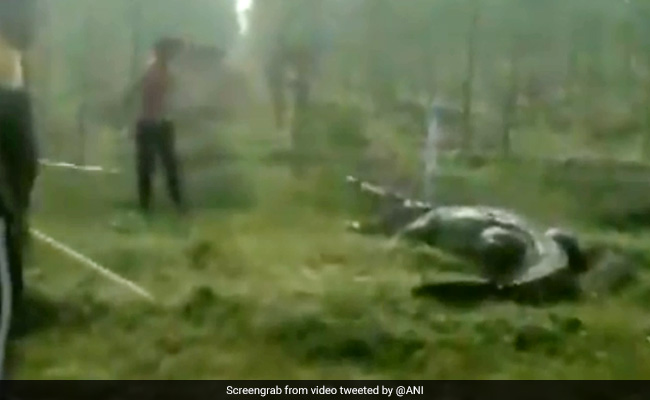 12-Foot Crocodile Rescued In Vadodara. Watch Terrifying Video