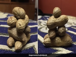 शख्स ने बनाया ''Jenga'' का देसी वर्जन ''Shenga'', ट्विटर पर लोगों ने दिए मजेदार रिएक्शन शख्स ने बनाया ''Jenga'' का देसी वर्जन ''Shenga'', ट्विटर पर लोगों ने दिए मजेदार रिएक्शन