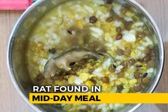 Mouse Found In Mid-Day Meal Served To Students In UP School Mouse Found In Mid-Day Meal Served To Students In UP School