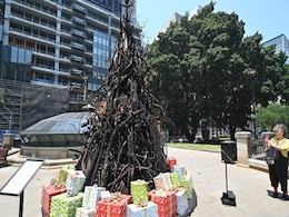 "Burnt Christmas Tree" Is A Perfect Symbol Of Australia's Devastating Bushfires "Burnt Christmas Tree" Is A Perfect Symbol Of Australia's Devastating Bushfires