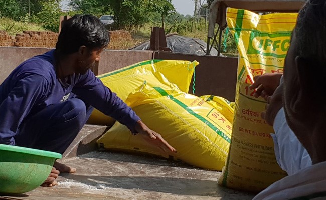 मध्यप्रदेश में यूरिया की किल्लत, किसान सड़कों पर उतरे; केंद्र पर सौतेले व्यवहार का आरोप