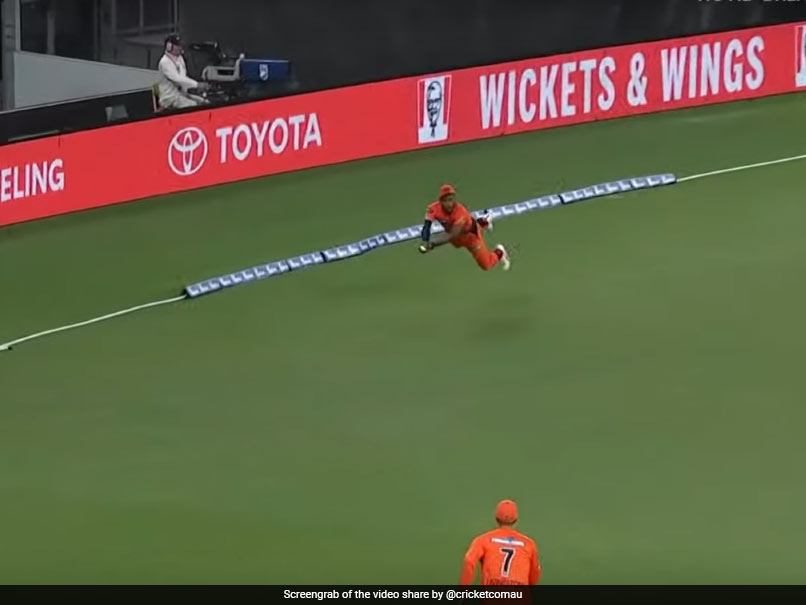 Big Bash League: Chris Jordan Adds Another Gem To His List Of Freak Catches - Watch