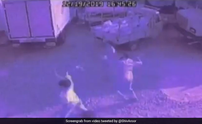 CAA Protest: मंगलुरु में हुई हिंसा में पुलिस ने पत्थर फेंक रहे प्रदर्शनकारियों का VIDEO किया जारी