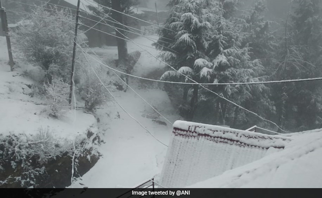 कश्मीर समेत समूचा उत्तर भारत जबरदस्त सर्दी की चपेट में, जानें अपने शहर का हाल