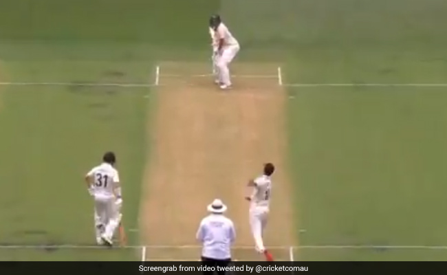 Aus vs NZ: गेंदबाज ने हवा में कराई स्विंग और किया ऐसा बोल्ड, देखता रह गया बल्लेबाज, देखें Video