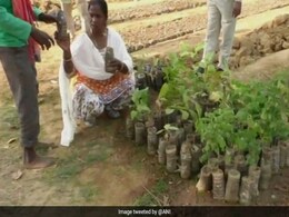 Chhattisgarh Forest Department Reuses Plastic Bottles To Grow Plants Chhattisgarh Forest Department Reuses Plastic Bottles To Grow Plants