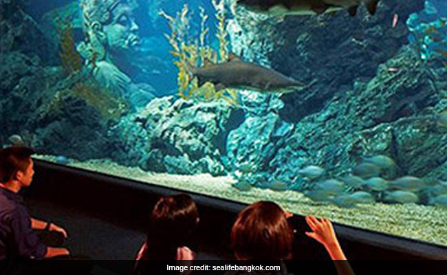 Thailand-Style Aquarium In Mumbai? Authorities Asked To Draft Proposal
