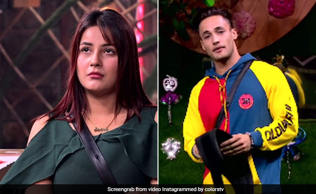 आसिम रियाज ने दी शहनाज गिल के लिए कुर्बानी तो बिग बॉस विनर बोले- कर्म ने शहनाज के पैर में लाया है...