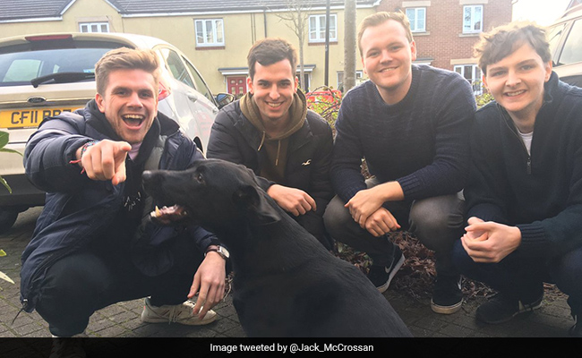 4 Men Request To Play With Neighbour&rsquo;s Dog, Receive The Best Reply