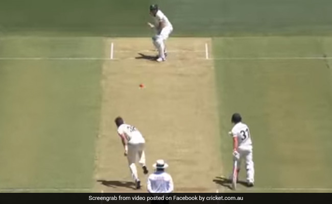 Aus Vs NZ: टिम साउदी ने मारी बल्लेबाज को गेंद, बीच में भिड़ गए वॉर्नर, बोले- 'उसके हाथ में लगी है...' देखें Video